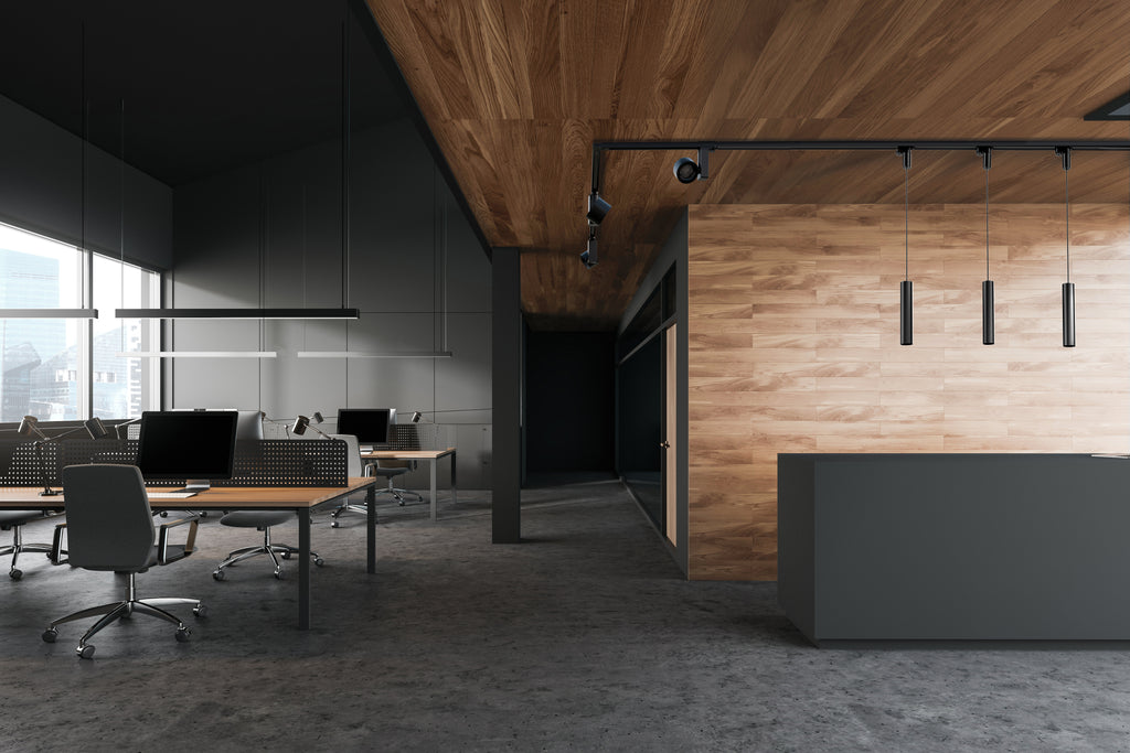 Nowodvorski CAMELEON ADAPTER CTLS 50/60Hz - Tworzywo sztuczne - Czarny