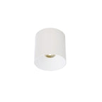 Nowodvorski Lampa downlights natynkowa CL IOS LED 20W, ANGLE 36 20W 50/60Hz - Aluminium/Znal - Biały II